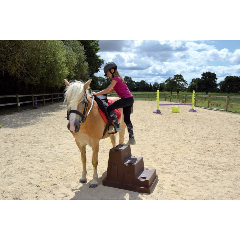 Cavaletti-montoir EASY-STEP* 2 marches : p1216261