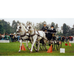 Jeu de cônes et balles d'attelage : p1217122