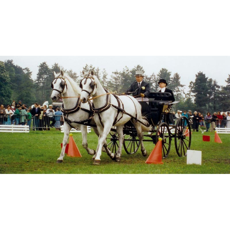Jeu de cônes et balles d'attelage : p1217122