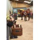p1215522 - Malle roulante horizontale chevaux de selle