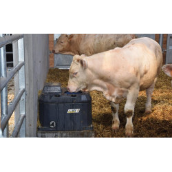 Abreuvoir POLYTHERME 1 boule : p1130471