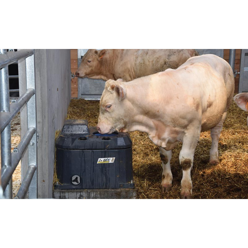 Abreuvoir POLYTHERME 1 boule : p1130471