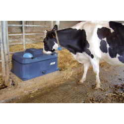 Abreuvoir POLYTHERME 2 boules : p1130474