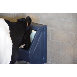 Abreuvoir POLYFLAP Simple : p1130579