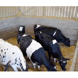 Abreuvoir POLYFLAP Simple : p1130579