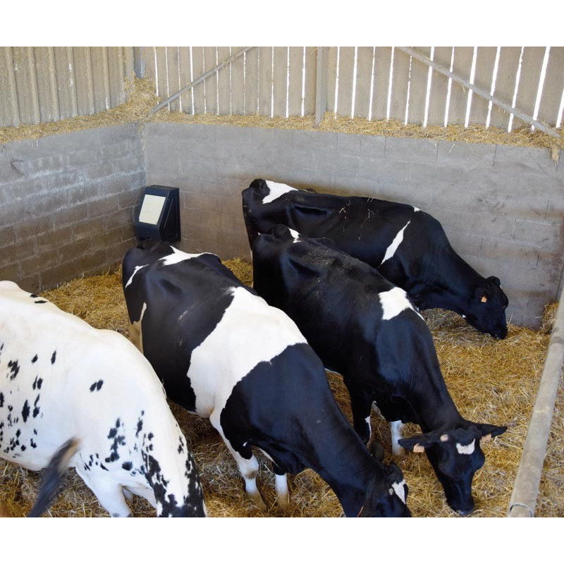 Abreuvoir POLYFLAP Simple : p1130579