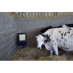 Abreuvoir POLYFLAP Simple : p1130579