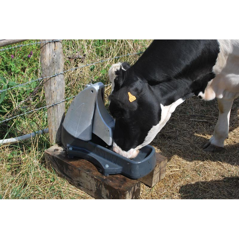 Abreuvoir Pompe de prairie POLYPUMP : p1130591