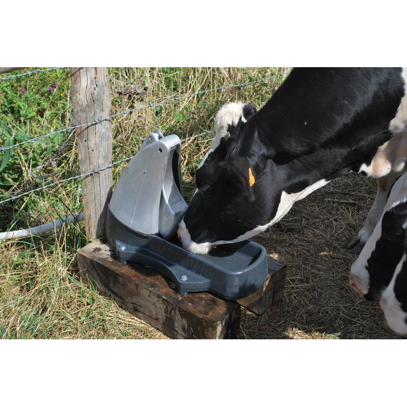 Abreuvoir Pompe de prairie POLYPUMP : p1130591