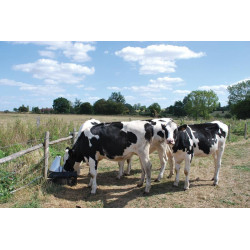 Abreuvoir Pompe de prairie POLYPUMP : p1130591