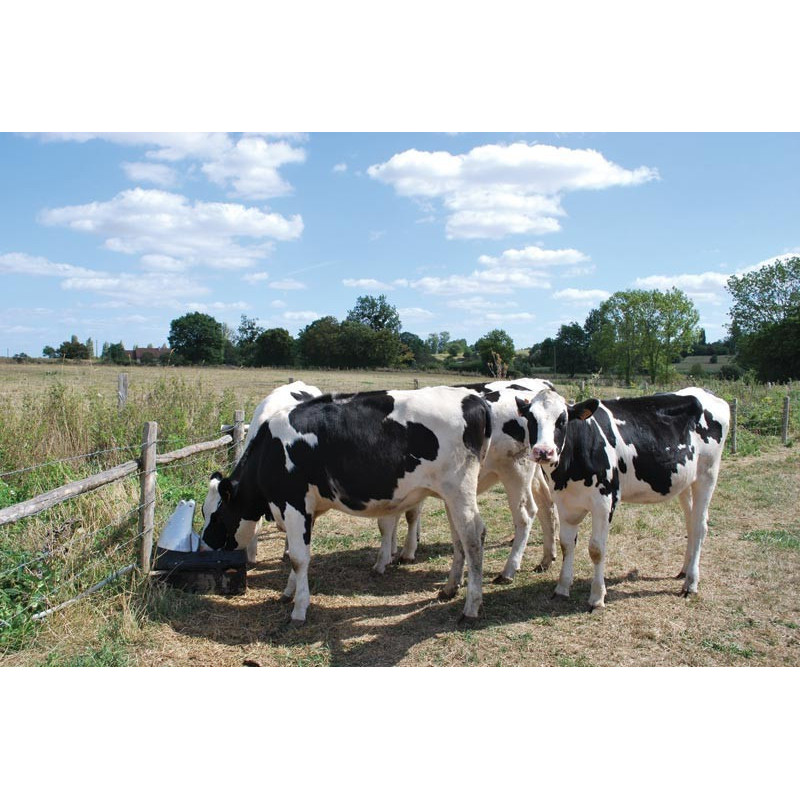 Abreuvoir Pompe de prairie POLYPUMP : p1130591