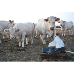 Abreuvoir Pompe de prairie POLYPUMP bol : p1130593