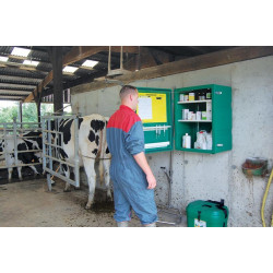 Pharmacie murale : p1131703