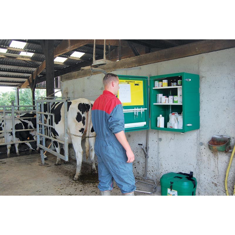 Pharmacie murale : p1131703