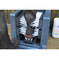 Lave-bottes milieu sensible : p1131718