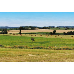 Citerne monobloc rectangulaire 5000 L : p1133901