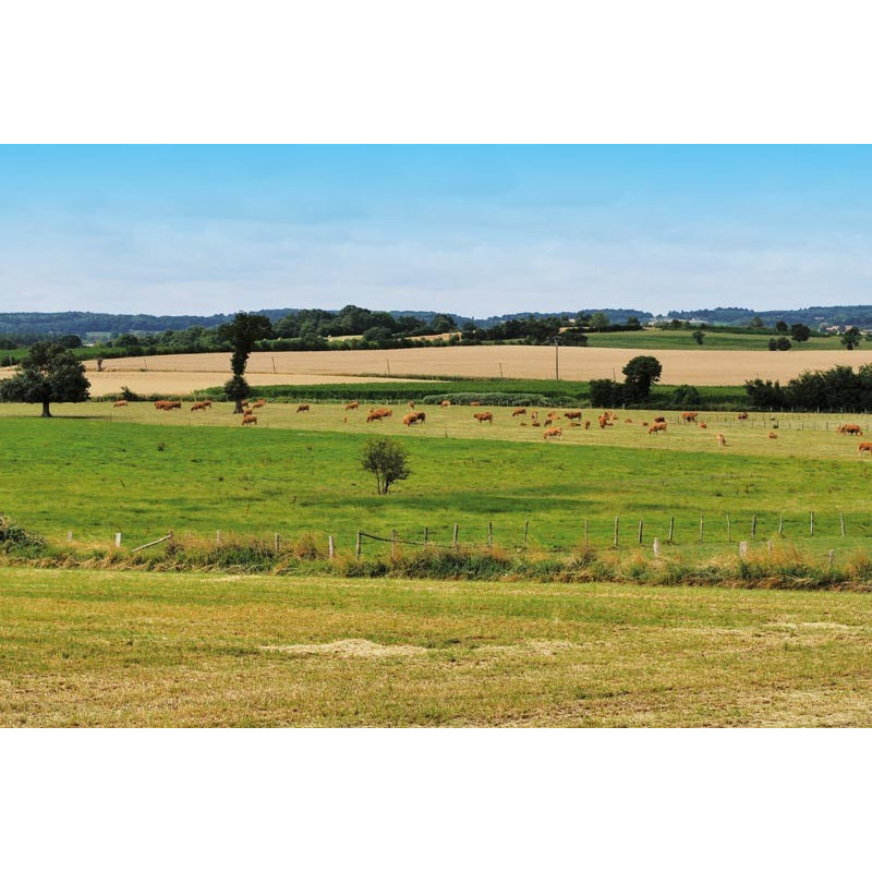 Citerne monobloc rectangulaire 5000 L : p1133901