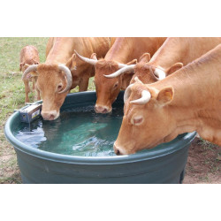 Coffre inox non déporté avec robinet flotteur pression du réseau : ...