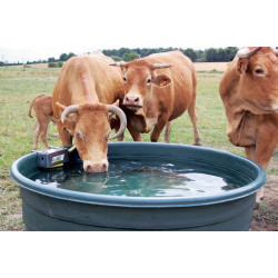 Coffre inox non déporté avec robinet flotteur pression du réseau : ...