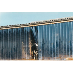 Rideaux à lanières PVC - Larg. 20 cm : p1141701