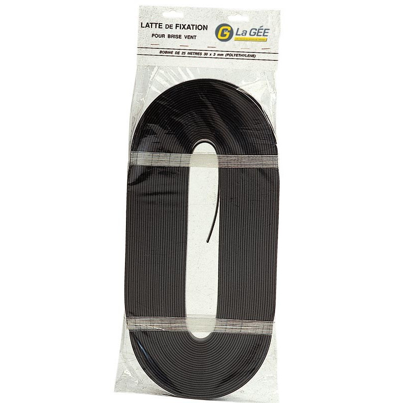 Latte de fixation : p1141903