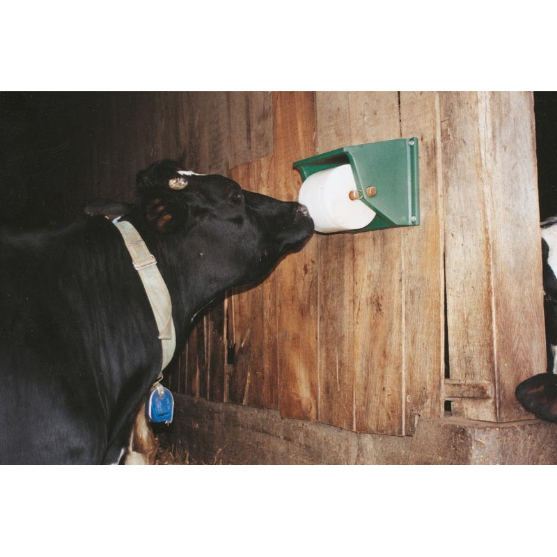 Support pour pierre à sel 5 à 10 kg : p1210101