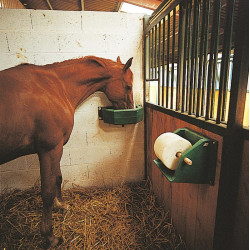 Support pour pierre à sel 5 à 10 kg : p1210101