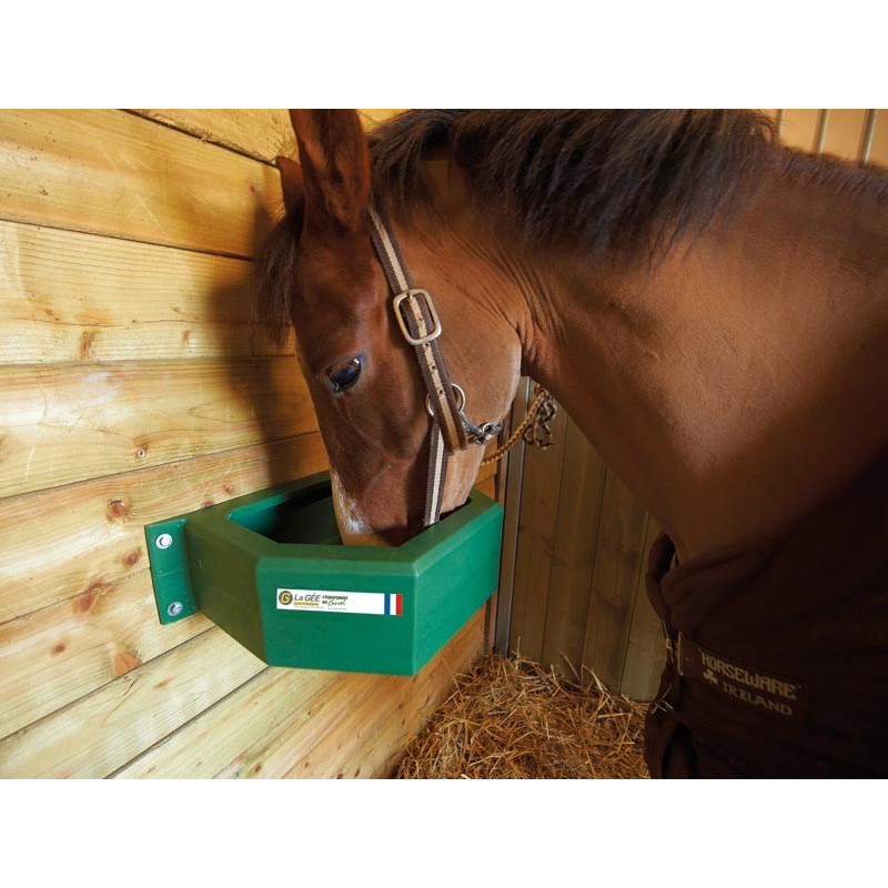 Mangeoire murale : p1210307