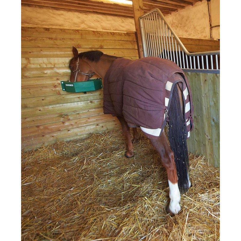 Mangeoire murale : p1210307