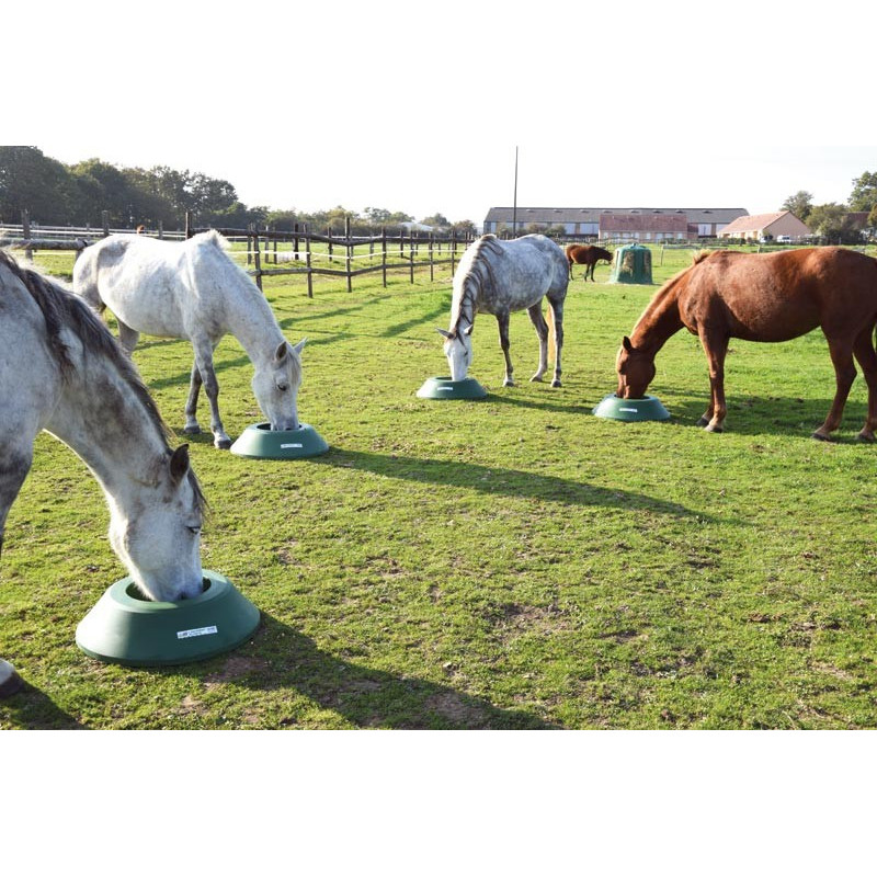 Mangeoire de prairie circulaire à lester : p1213103