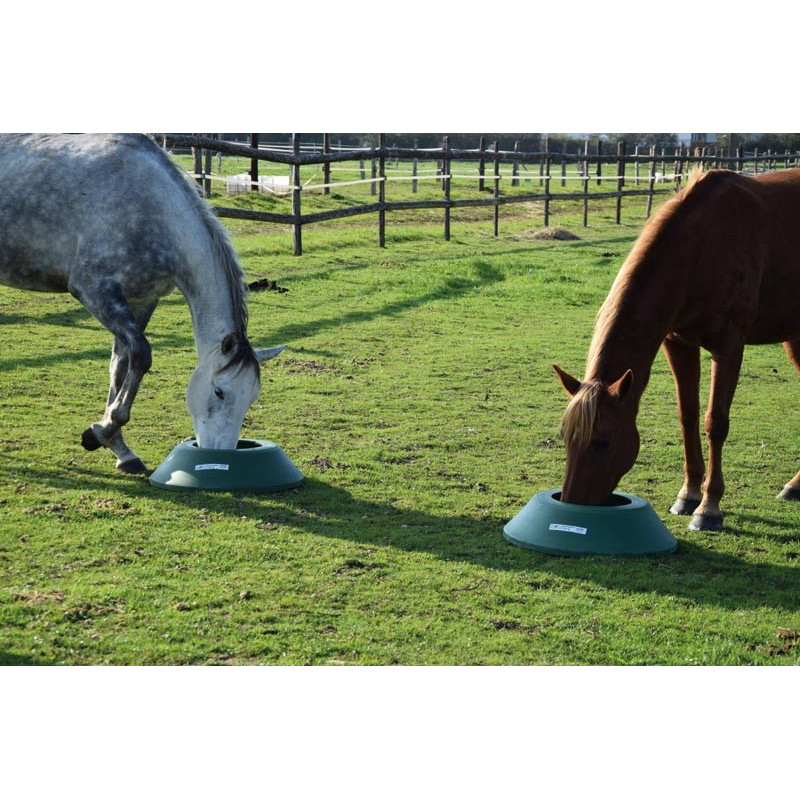 Mangeoire de prairie circulaire à lester : p1213103