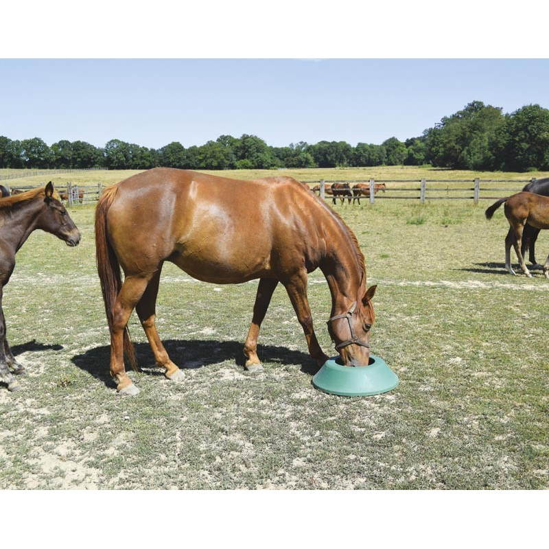 Mangeoire de prairie circulaire à lester : p1213103