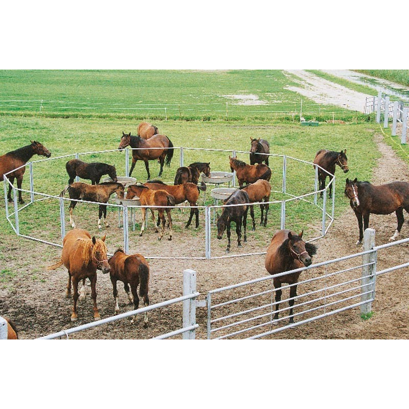 Nourrisseur à poulains circulaire : p1213302