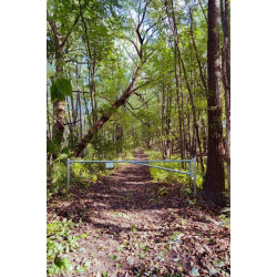 Barrière forestière 3/5 m : p1213601