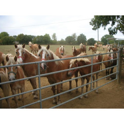 Barrière de pré extensible 2/3 m : p1213716