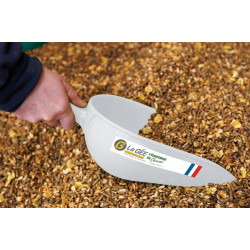 Mesure à grain injectée : p1214701