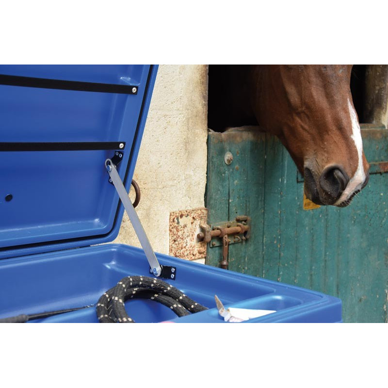 Malle de concours verticale : p1215501