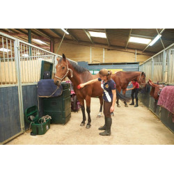 Malle de concours verticale chevaux de selle : p1215543