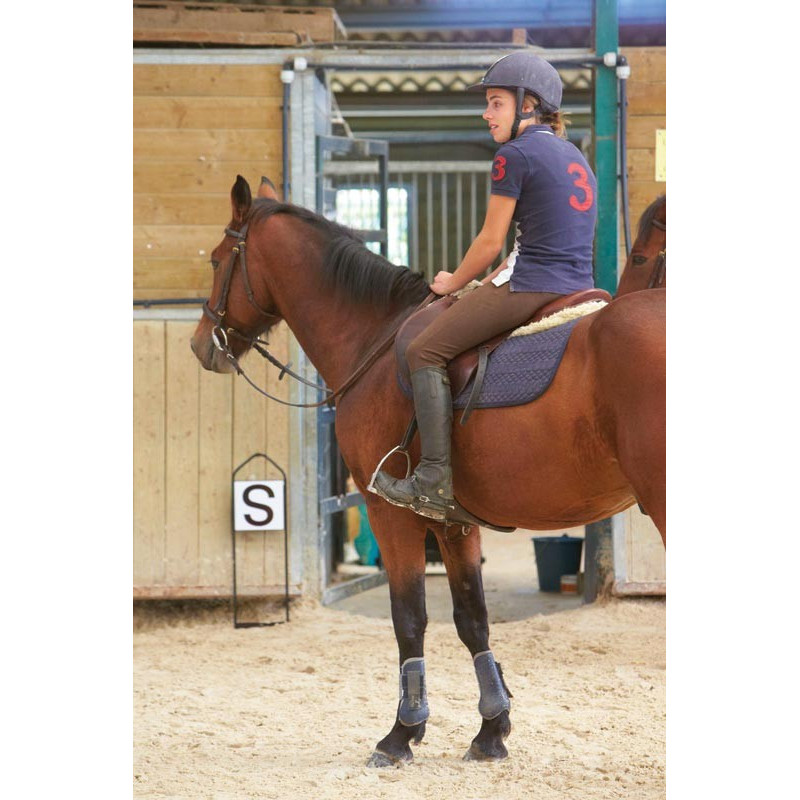 Jeu lettres de dressage sur support métallique : p1217107