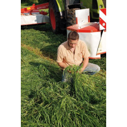 Equifourrage : p1220109