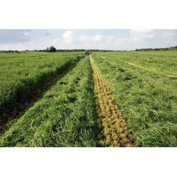 Equifourrage : p1220109