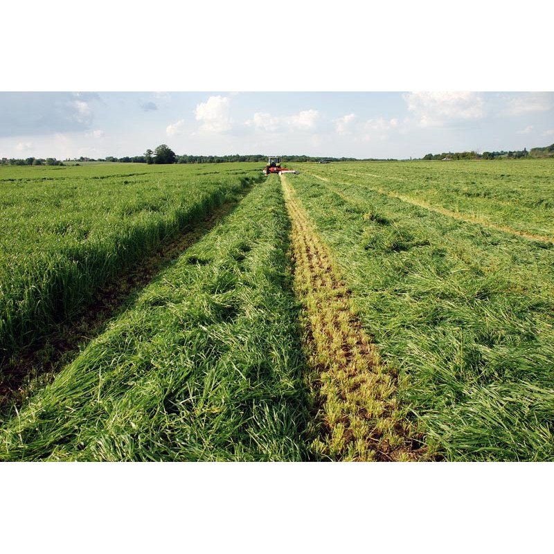 Equifourrage : p1220109