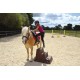 Cavaletti-montoir EASY-STEP* 3 marches