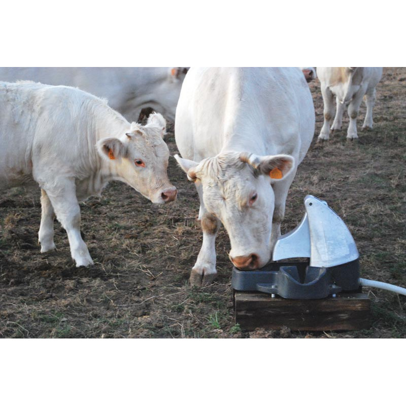 Abreuvoir Pompe de prairie POLYPUMP bol : p1130593