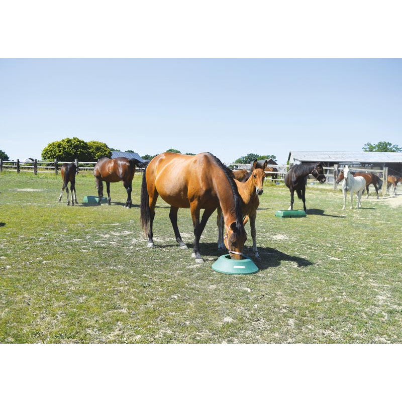 Mangeoire de prairie circulaire à lester : p1213103