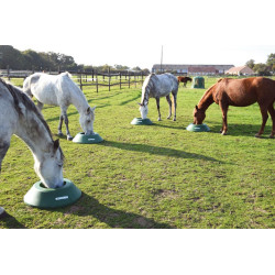 Mangeoire de prairie circulaire à lester : p1213103