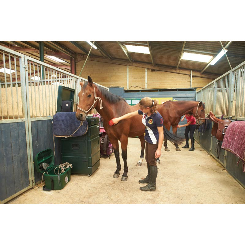 Malle de concours verticale chevaux de selle : p1215543