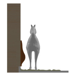 Pare-bottes manège : p1216521