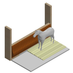 Pare-bottes manège : p1216521