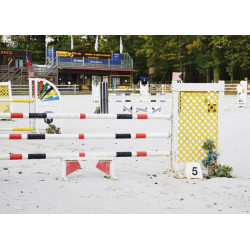 Jeu de plots avec autocollants pour parcours d'obstacles : p1217101